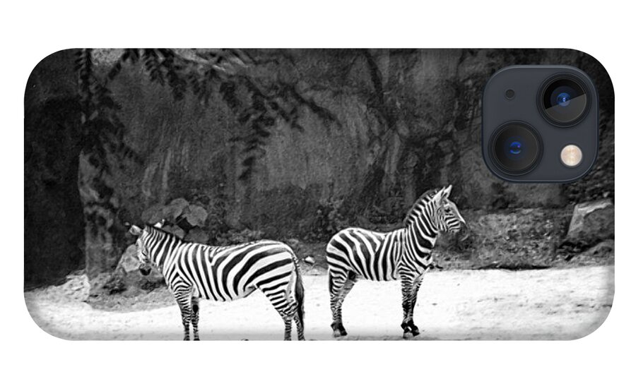 Black_ And_ White iPhone 13 Case featuring the photograph A Disagreement #2 by Gerlinde Keating