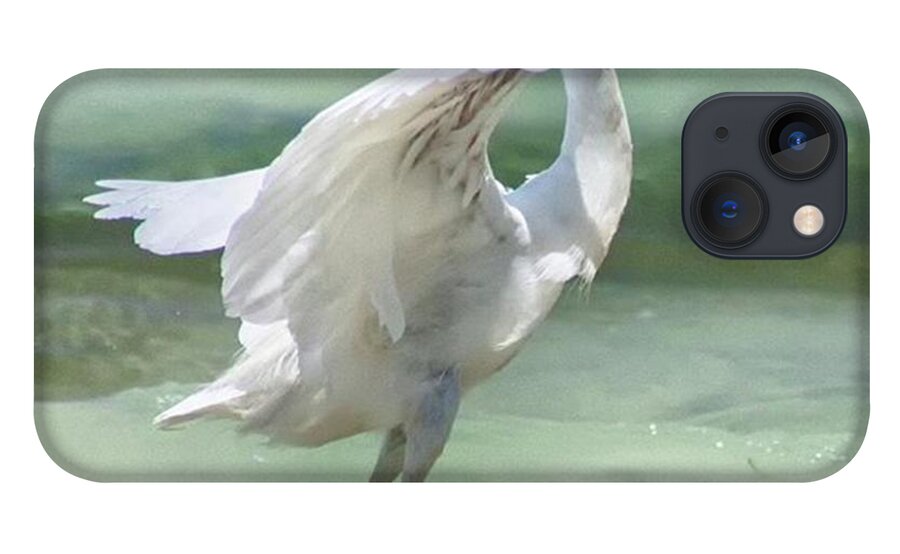 Egret iPhone 13 Case featuring the photograph A Snowy Egret (egretta Thula) At Mahoe by John Edwards
