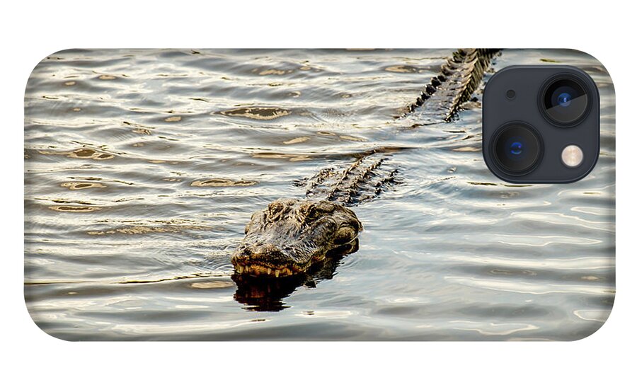 Alligator In Lake Alice # Wildlife # Reptile # Alligators # Lake # United States # University Of Florida # Gainesville Fl # The Baughman Center # Lake Alice # The Bat House # Florida # Campus # iPhone 13 Case featuring the photograph Alligator in lake Alice #1 by Louis Ferreira