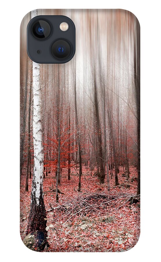 Abstract iPhone 13 Case featuring the photograph Birchforest In Fall by Hannes Cmarits
