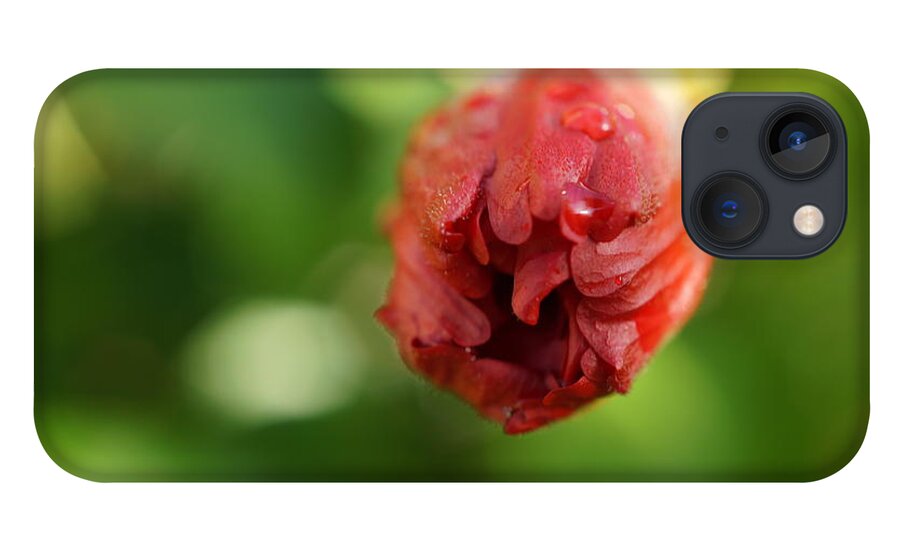 Hibiscus iPhone 13 Case featuring the photograph Blooming #1 by Faashie Sha