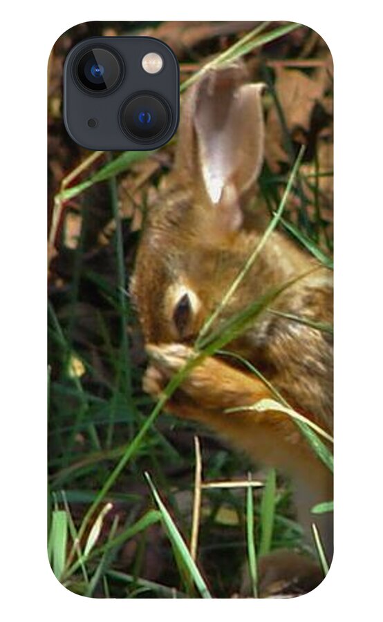 Rabbit iPhone 13 Case featuring the photograph Bunny #1 by Carl Moore