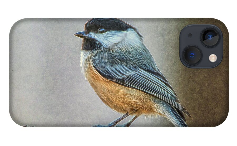 Chicadee iPhone 13 Case featuring the photograph Chicadee by Cathy Kovarik