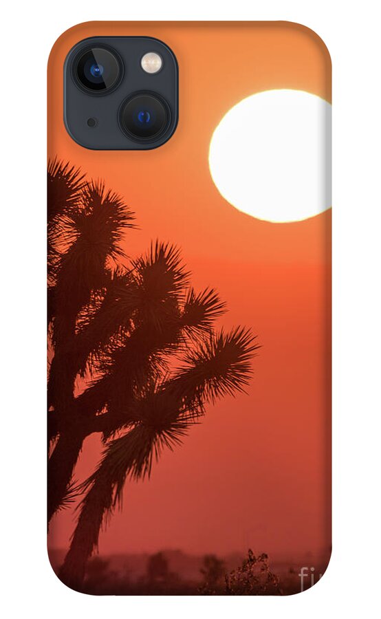 Tree iPhone 13 Case featuring the photograph Desert Sunrise by Vincent Bonafede