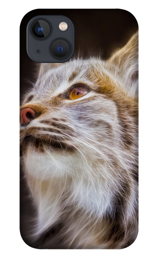 Animals iPhone 13 Case featuring the photograph Electric Lynx #1 by Rikk Flohr