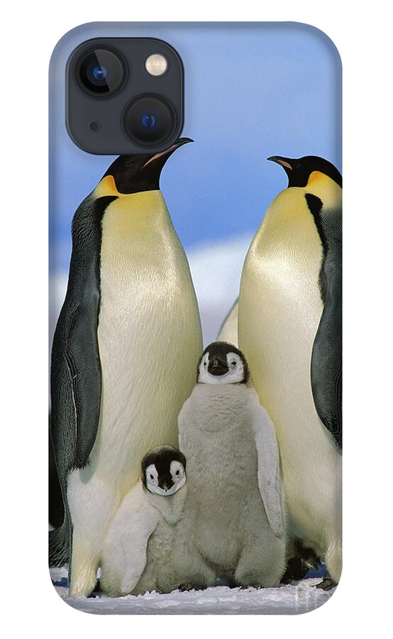 Mp iPhone 13 Case featuring the photograph Emperor Penguin Family by Konrad Wothe