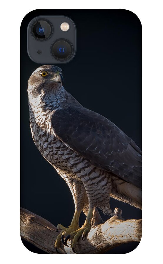Hawk-eye iPhone 13 Case featuring the photograph Hawk-eye by Torbjorn Swenelius