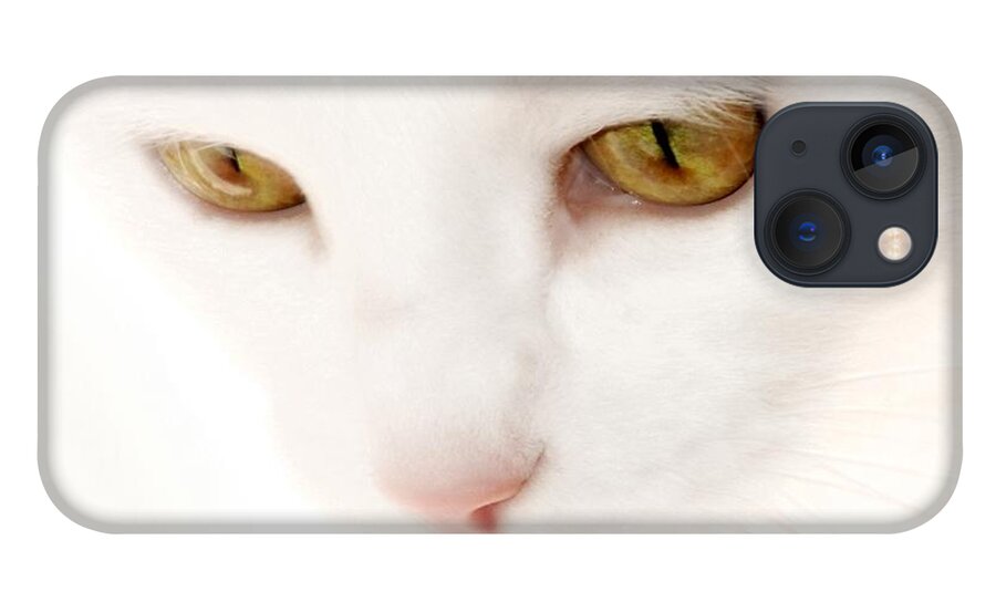 Cat Portraits iPhone 13 Case featuring the photograph Heavenly Angel by Angie Tirado