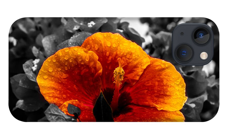 Flower iPhone 13 Case featuring the photograph Hibiscus Beauty by Randy Sylvia