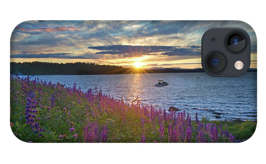 #naples#maine#long#lake#lupines iPhone 13 Case featuring the photograph Lupine Sunset on Long Lake #1 by Darylann Leonard Photography