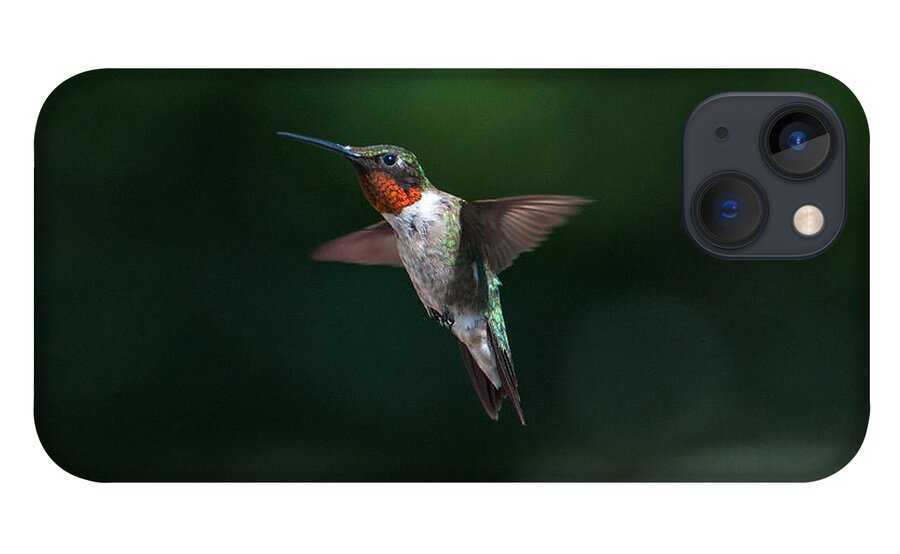 Hummers iPhone 13 Case featuring the photograph Male Ruby Throated Hummingbird #1 by Brenda Jacobs