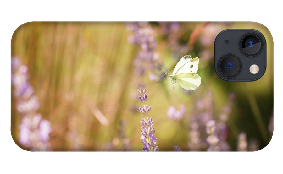 Europe iPhone 13 Case featuring the photograph Pieris brassicae, the large white, also called cabbage butterfly #1 by Amanda Mohler
