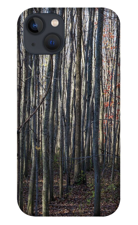 Treez iPhone 13 Case featuring the photograph Treez by Lon Dittrick