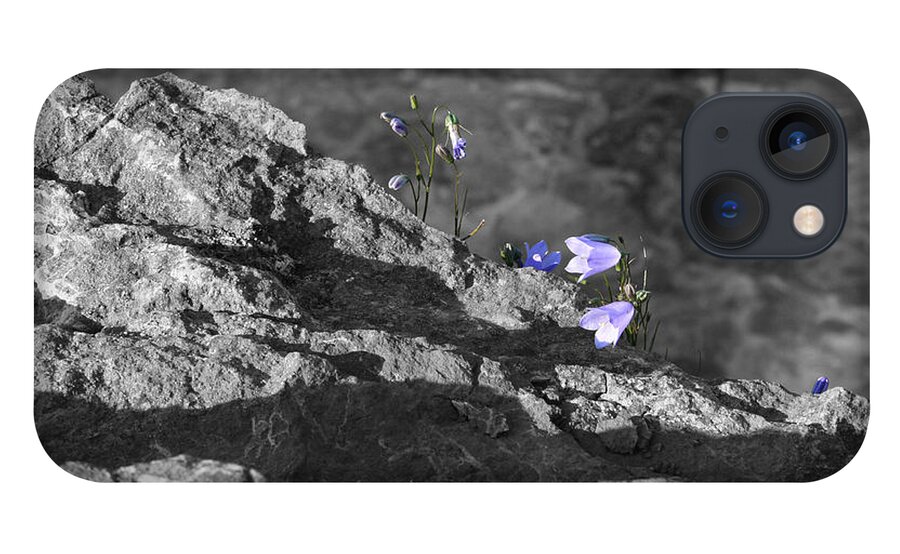 Desaturation iPhone 13 Case featuring the photograph Violescence by Dylan Punke