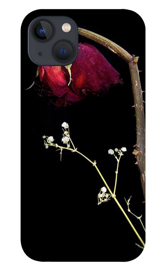 Rose iPhone 13 Case featuring the photograph Wilted dry red rose flower #1 by Michalakis Ppalis
