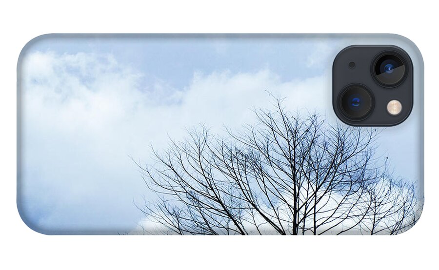 Winter Fall White Sky iPhone 13 Case featuring the photograph Winter Tree by Adelista J