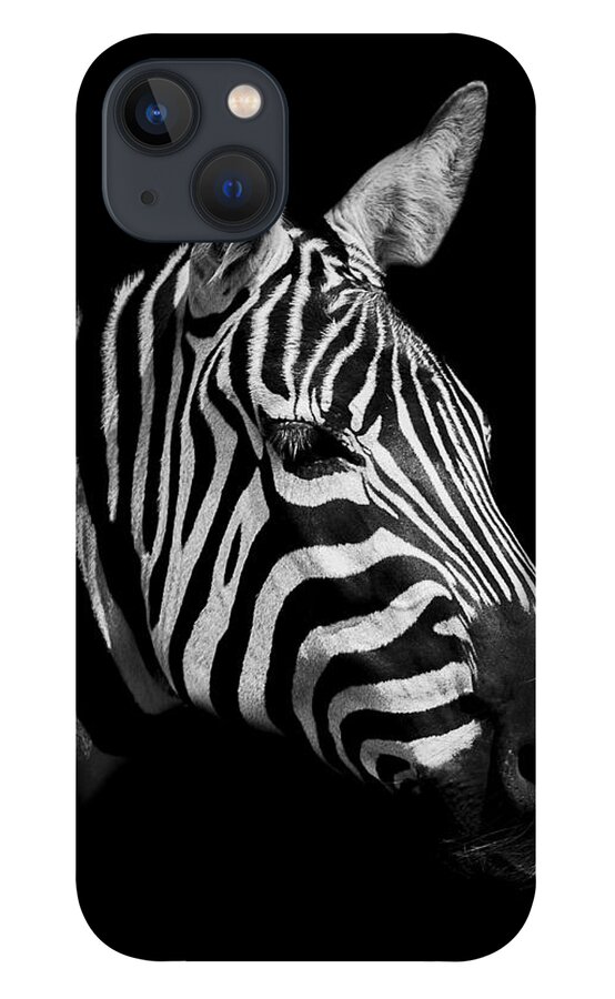 Zebra iPhone 13 Case featuring the photograph Zebra #1 by Paul Neville