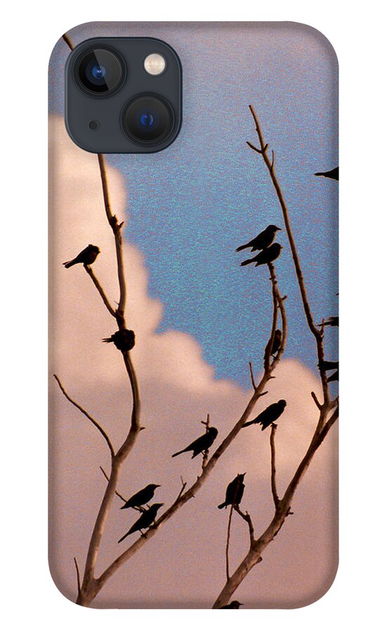 Birds iPhone 13 Case featuring the photograph 19 Blackbirds by Steve Karol