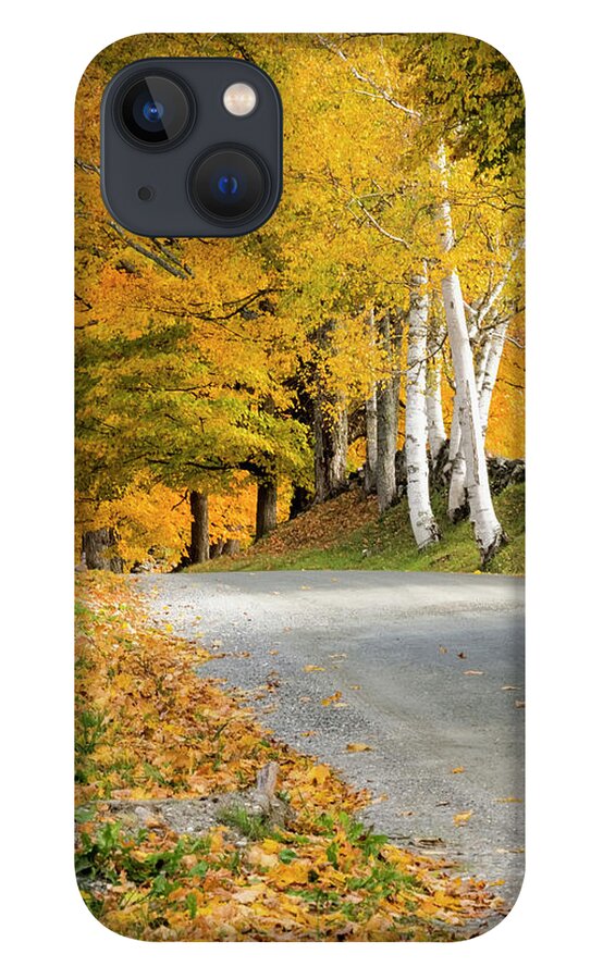 Autumn Birches iPhone 13 Case featuring the photograph Autumn Road by Tom Singleton