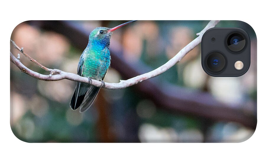 Broad-billed_hummingbird iPhone 13 Case featuring the photograph Broad-billed Hummingbird #2 by Tam Ryan