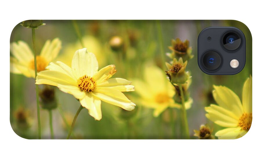 Yellow iPhone 13 Case featuring the photograph Nature's Beauty 68 by Deena Withycombe