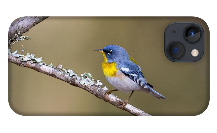 Warbler iPhone 13 Case featuring the photograph Northern Parula #2 by Jim E Johnson