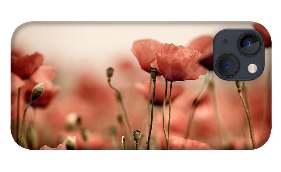 Poppy iPhone 13 Case featuring the photograph Poppy Dream by Nailia Schwarz