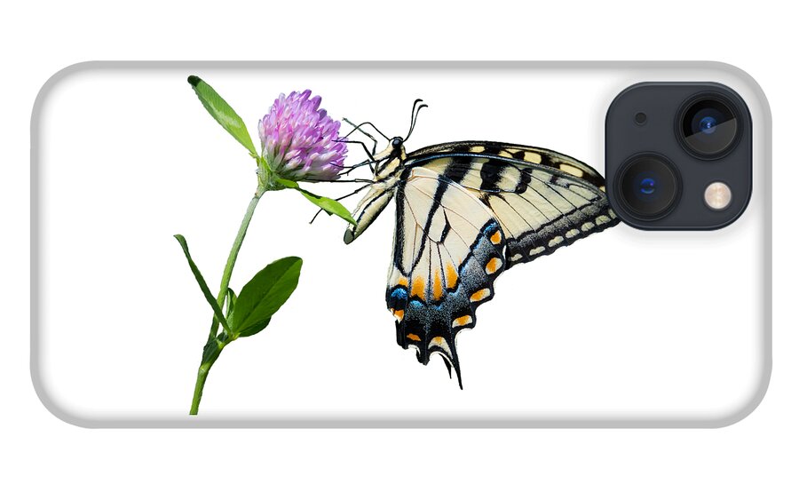 Tiger Swallowtail Butterfly iPhone 13 Case featuring the photograph Tiger Swallowtail Butterfly by Holden The Moment