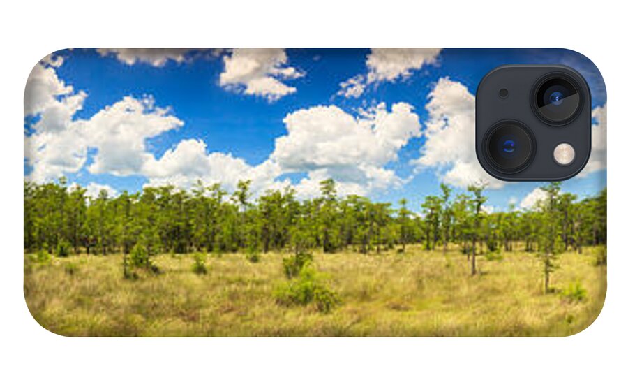Everglades iPhone 13 Case featuring the photograph Florida Everglades #20 by Raul Rodriguez