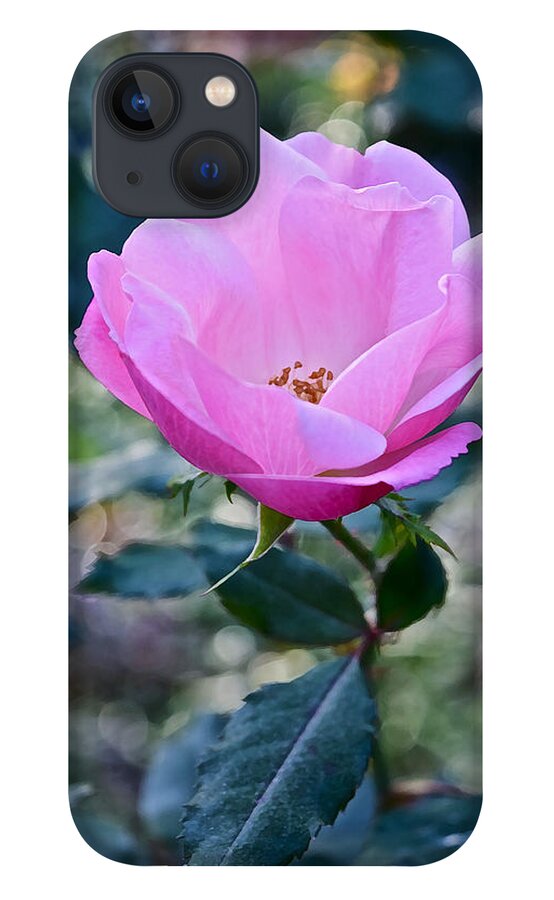 Rose iPhone 13 Case featuring the photograph 2015 After the Frost at the Garden Pink Rose by Janis Senungetuk