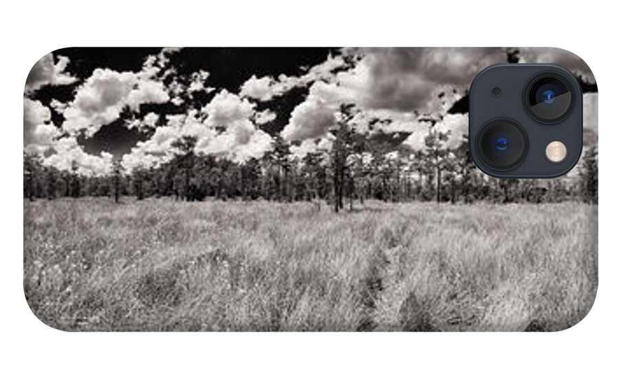 Everglades iPhone 13 Case featuring the photograph Florida Everglades by Raul Rodriguez