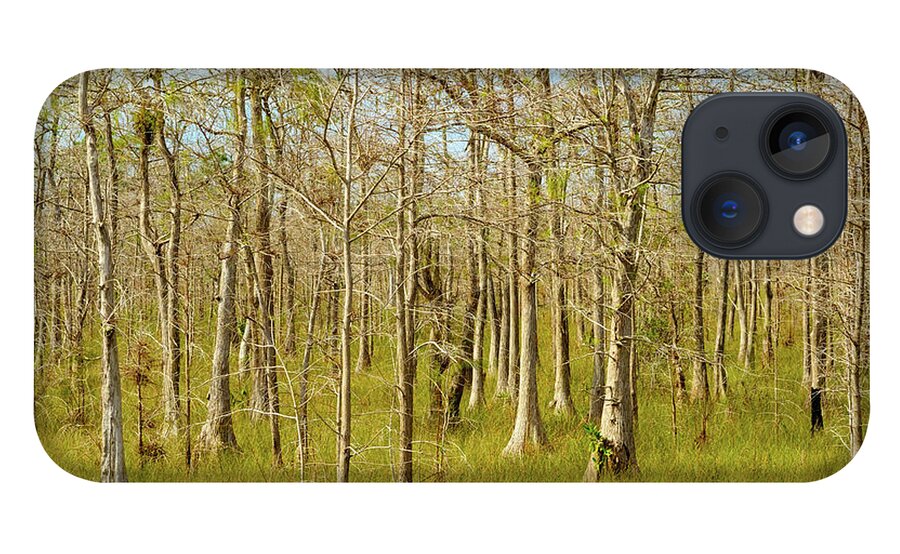 Big Cypress National Preserve iPhone 13 Case featuring the photograph Florida Everglades by Raul Rodriguez