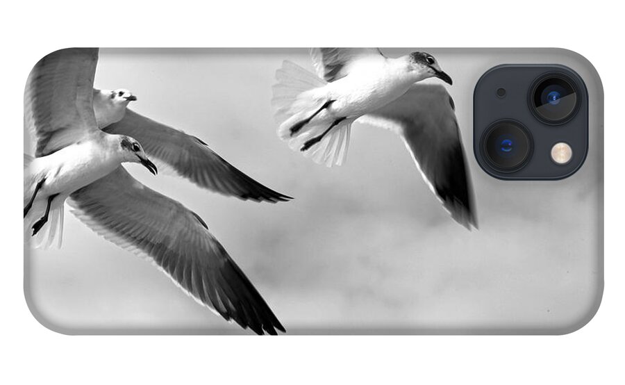 Bird iPhone 13 Case featuring the photograph 3 Gulls by Robert Och