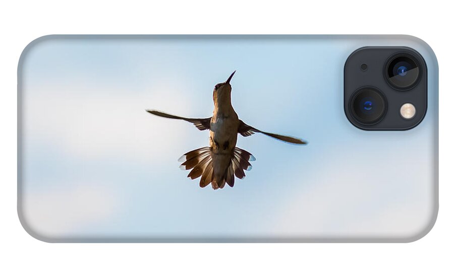 Hummingbird iPhone 13 Case featuring the photograph Hummingbird by Holden The Moment