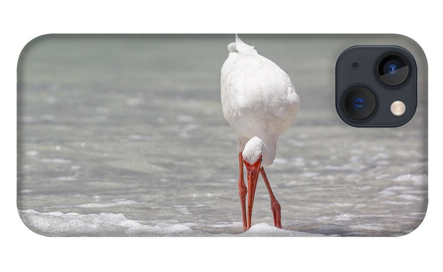 Naples iPhone 13 Case featuring the photograph White Ibis #5 by Peter Lakomy