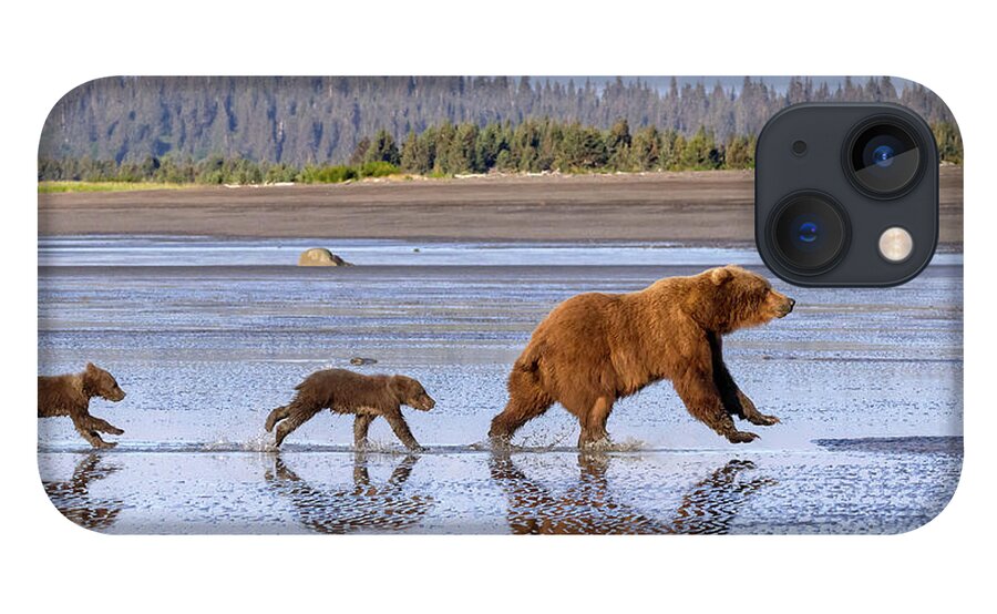 Bears iPhone 13 Case featuring the photograph A Day At the Beach by Jack Bell