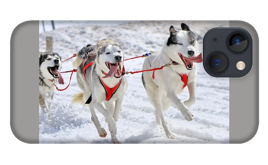 Action iPhone 13 Case featuring the photograph A husky sled dog team at work by Elenarts - Elena Duvernay photo