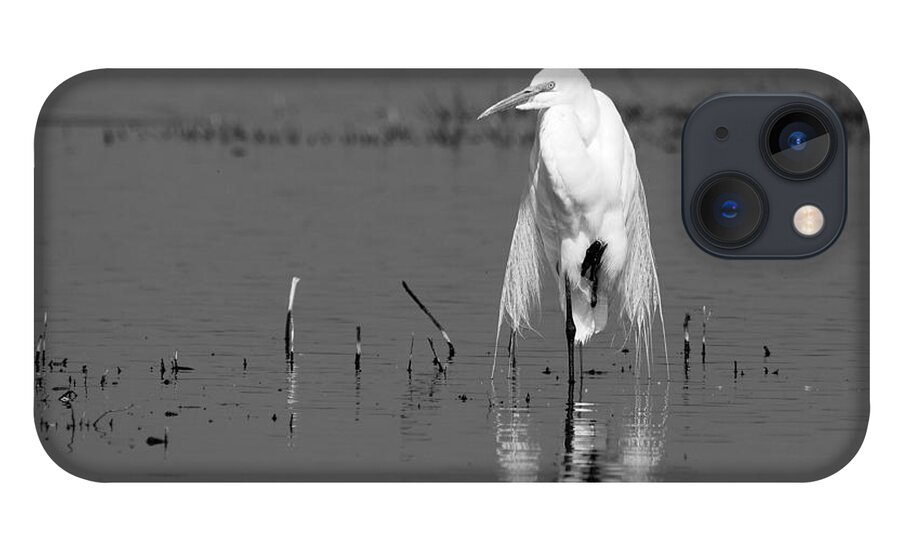 Elegance iPhone 13 Case featuring the photograph Elegance -- Great Egret in Merced National Wildlife Refuge, California by Darin Volpe
