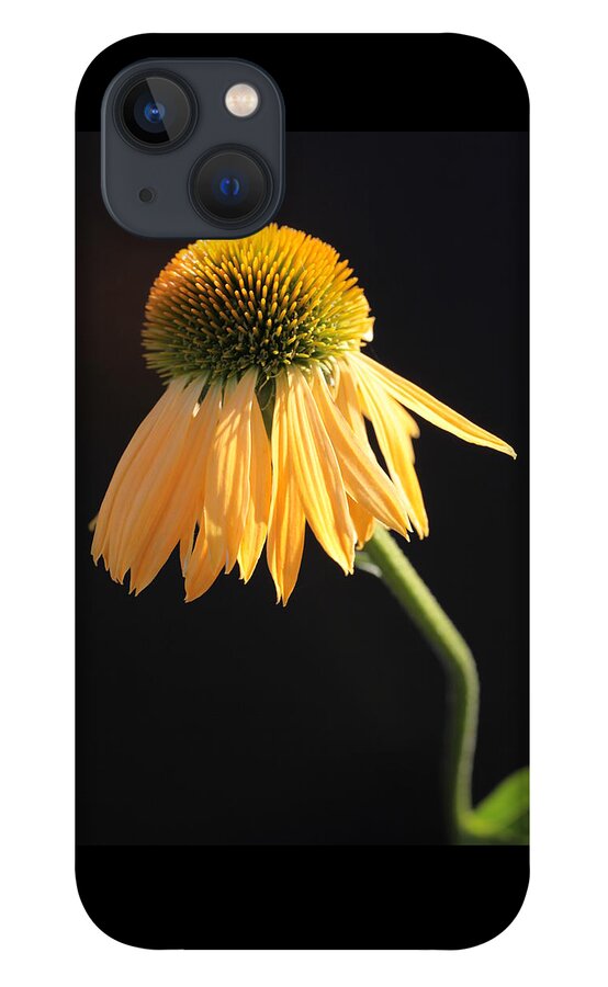 Plush iPhone 13 Case featuring the photograph A Little Twisted by Tammy Pool