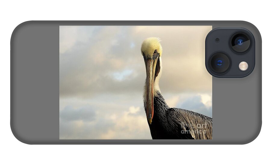 Pelican iPhone 13 Case featuring the photograph A Pelican's Portrait by Jan Gelders