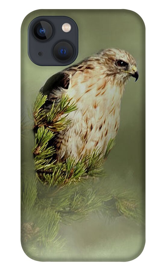 Animal iPhone 13 Case featuring the photograph A Predators Watch by Lana Trussell