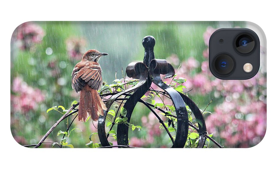 Birds iPhone 13 Case featuring the photograph A Rainy Summer Day by Trina Ansel