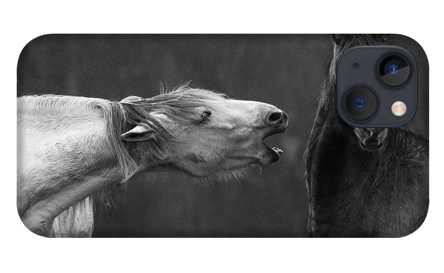 Horses iPhone 13 Case featuring the photograph A Scolding by Art Cole
