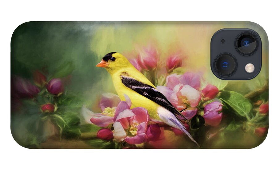 Jai Johnson iPhone 13 Case featuring the photograph A Splash of Joy Bird Art by Jai Johnson