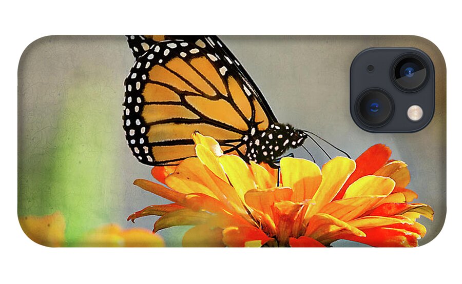 Flower iPhone 13 Case featuring the photograph A Very Late Visitor to the Garden by Ann Jacobson