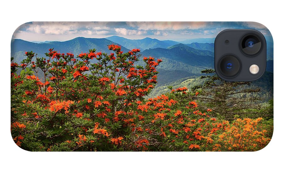 Roan Mountain iPhone 13 Case featuring the photograph A Visual Feast by C Renee Martin