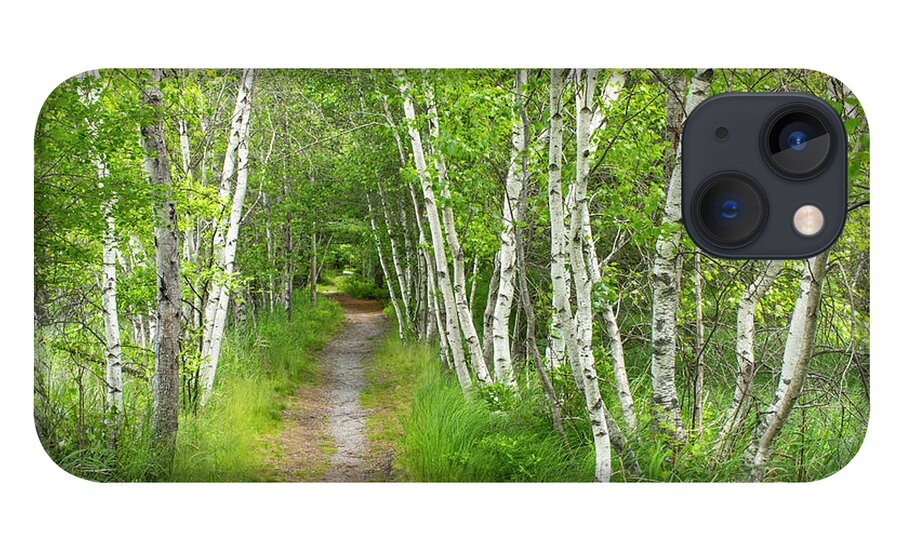 Acadia National Park iPhone 13 Case featuring the photograph A Walk in the Woods by Holly Ross