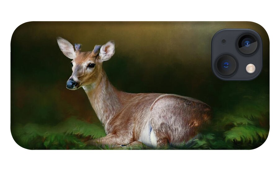 Animal iPhone 13 Case featuring the photograph A Young Buck by Lana Trussell