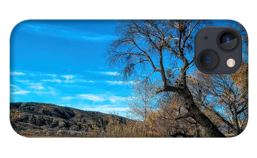 Elizabeth Lake; Sierra Pelona Mountains; Leona Valley; Yellow; Blue; Brown; Sky; Mountain; Trees; Picnic Tables; Abandoned Park iPhone 13 Case featuring the photograph Forgotten Park by Joe Lach