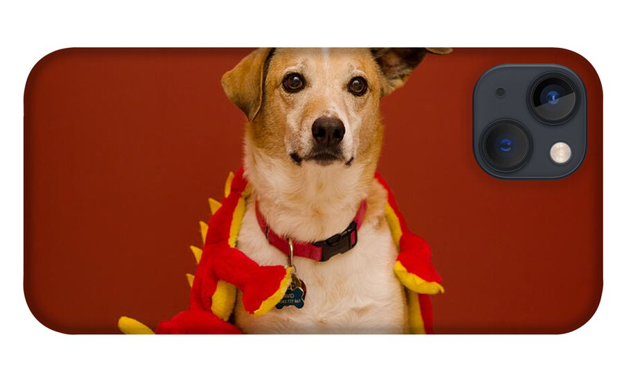 Pet Angel Photography iPhone 13 Case featuring the photograph Abbie and Dragon Toy by Irina ArchAngelSkaya